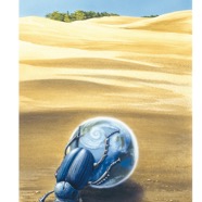 04 Scarabäus Cigler.jpg